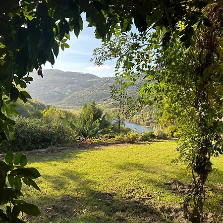 Villa No Douro - Quinta De Pias