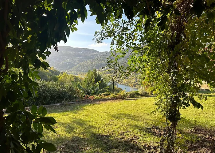 Villa No Douro - Quinta De Pias